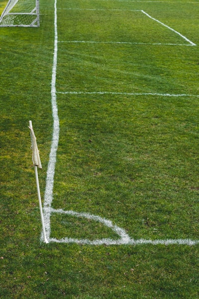نتائج ريال مدريد في دوري ابطال اوروبا 2024